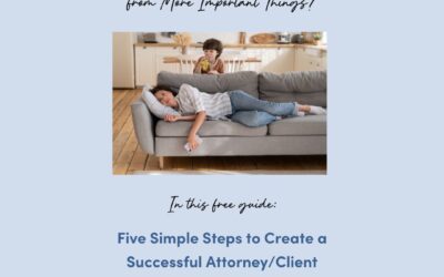 Five Ways to Keep Legal Fees Down & Make the Relationship with Your Lawyer Productive and Efficient