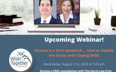 Are You Choking on the Sh!t Sandwich of Divorce? Five Coping Strategies to Make it A Bit More Digestible